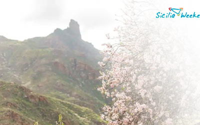 La Festa del Mandorlo in Fiore si festeggia anche in Spagna