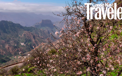 Fiestas del Almendro en Flor de Tejeda: un homenaje invernal a las Canarias