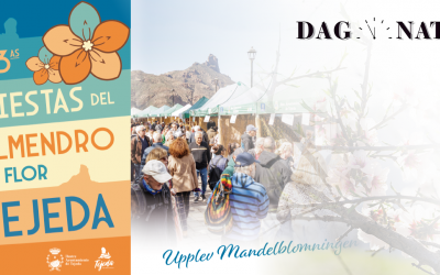 Mandelblomstring i Tejeda på Gran Canaria