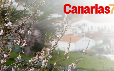 El almendro hermana a Tejeda con Castro Marim (Portugal) y Alleins (Francia)
